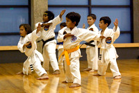 Lakewood Martial Arts Class